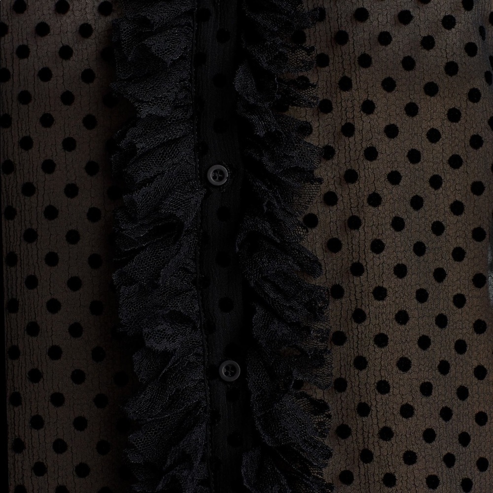 NWT Zara Black Sheer Polka Dot Button Down Blouse - Picture 6 of 7
